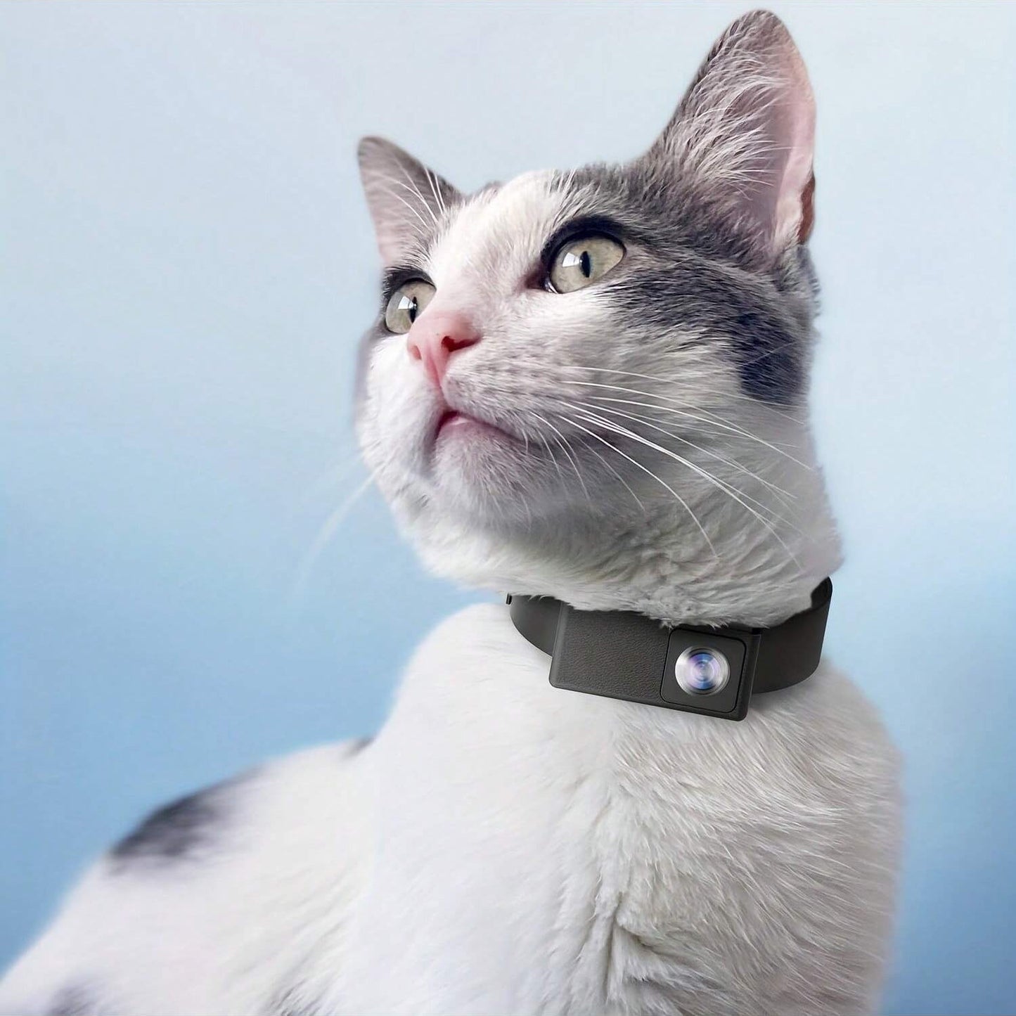 A cat wears a gray Fitlybuy portable 160° pet camera collar, capturing 1080P HD video, against a blue background.