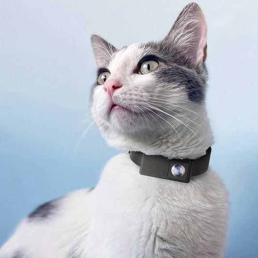 A cat wears a gray Fitlybuy portable 160° pet camera collar, capturing 1080P HD video, against a blue background.