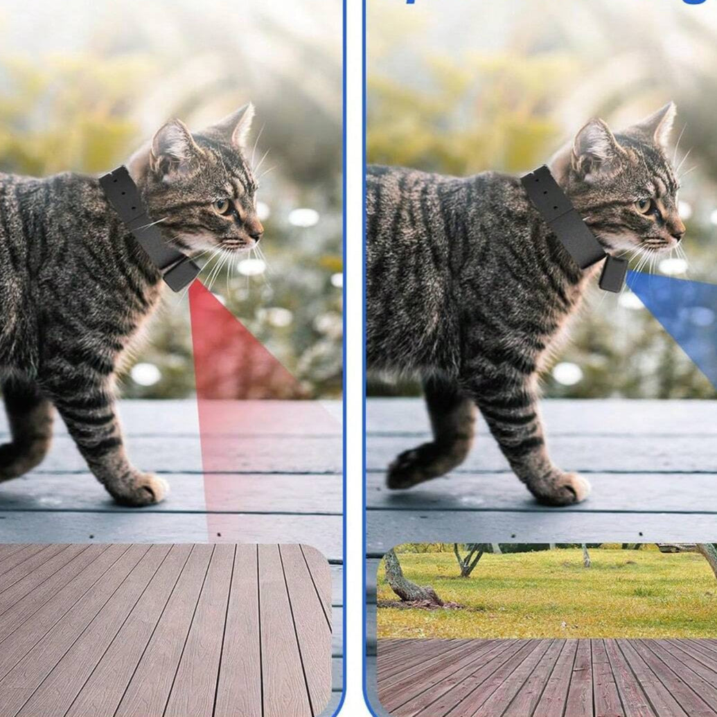 Fitlybuy portable 160° HD pet collar camera on a tabby cat, showing wide-angle video capture on a wooden deck and lawn.
