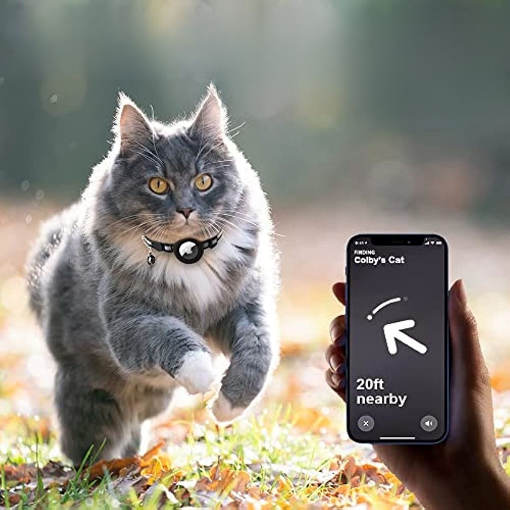 A gray cat wearing a black AirTag-compatible collar, tracked by a phone app showing it is 20 feet away.