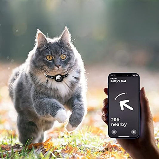A gray cat wearing a black AirTag-compatible collar, tracked by a phone app showing it is 20 feet away.