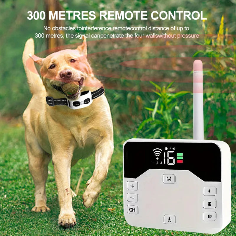 Fitlybuy 2-in-1 wireless dog fence and white remote with digital display, used on a dog playing in a grassy yard.