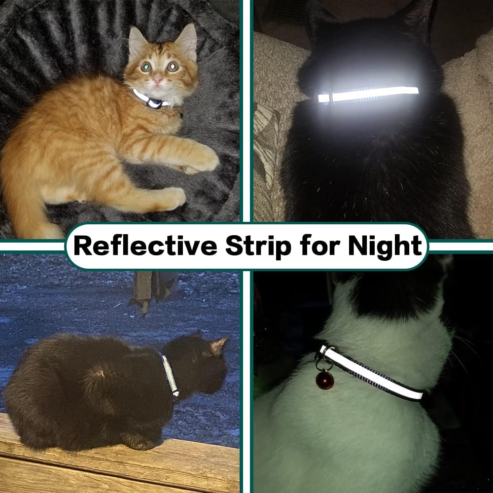 Fitlybuy Milo reflective cat collar with safety release and AirTag slot shown on cats in low-light and indoor settings.