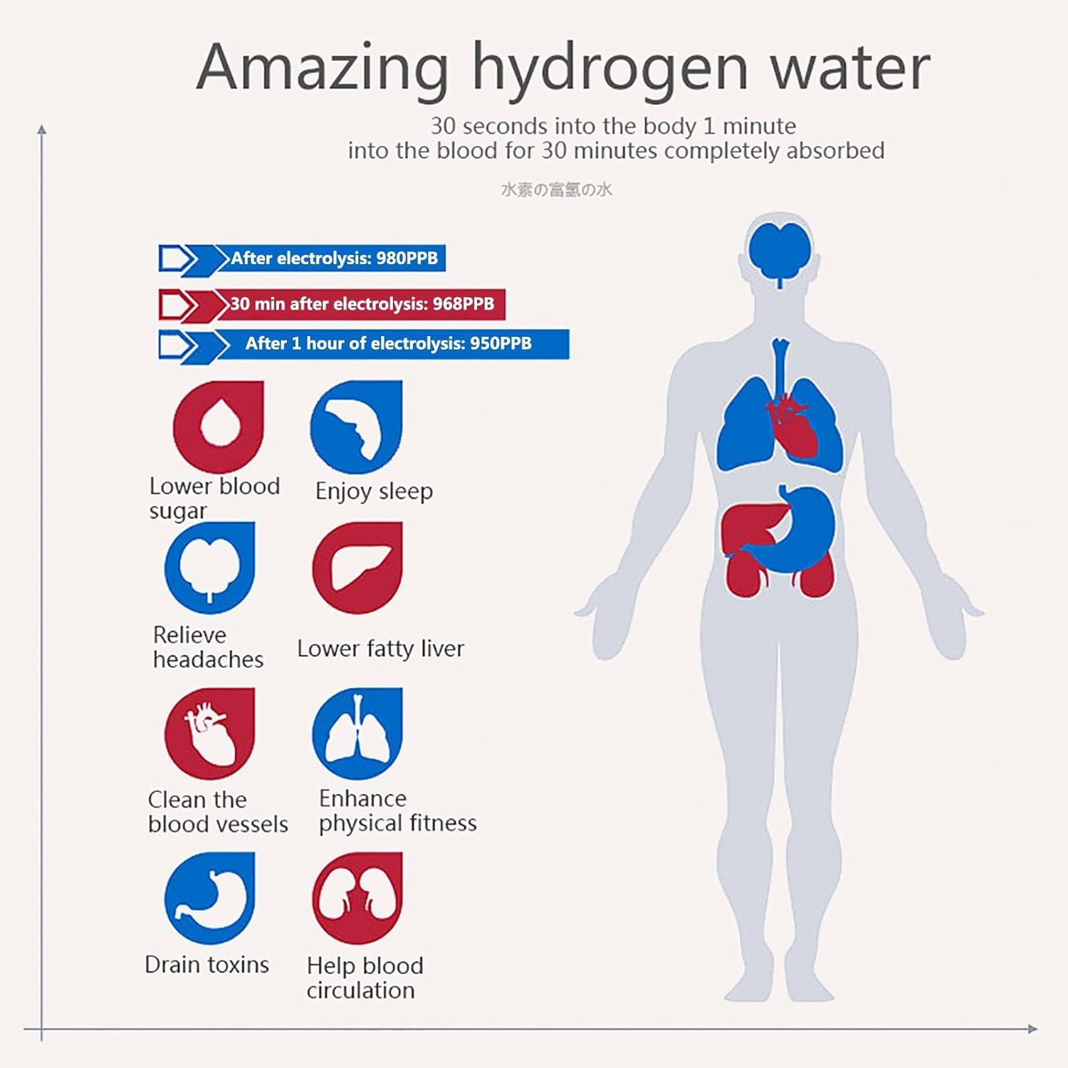 Infographic for Fitlybuy hydrogen water bottle showing health benefits, electrolysis levels, and human body organ system.