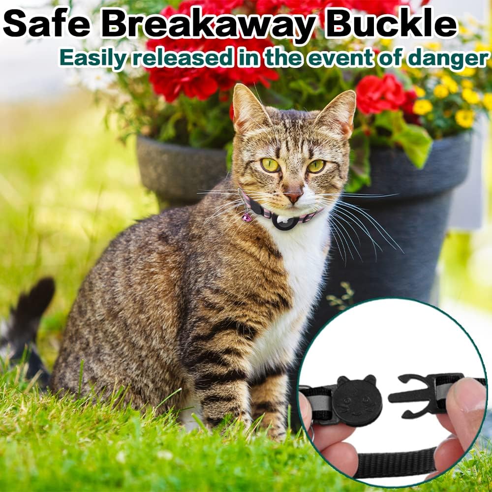 Tabby cat wearing a black, reflective, AirTag-compatible collar with a safety breakaway buckle in a garden.