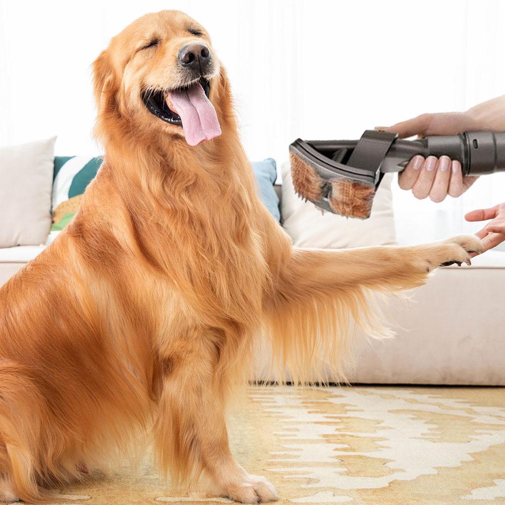 Happy golden retriever being groomed with a dark gray Fitlybuy vacuum brush attachment inside a home.