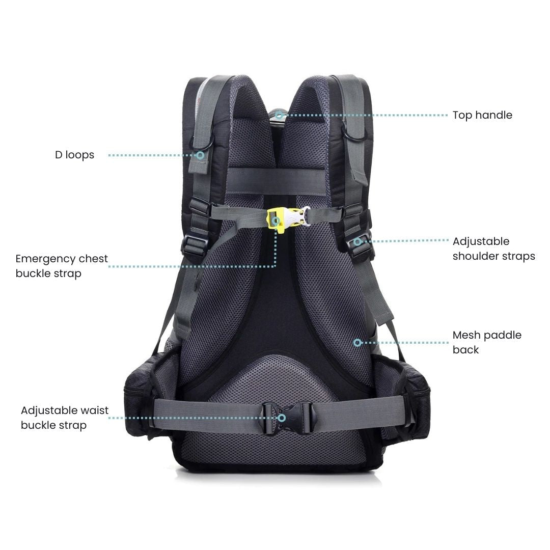 Fitlybuy Pro trekking backpack, back view showing mesh padding, adjustable straps, D-loops, and chest/waist buckles.