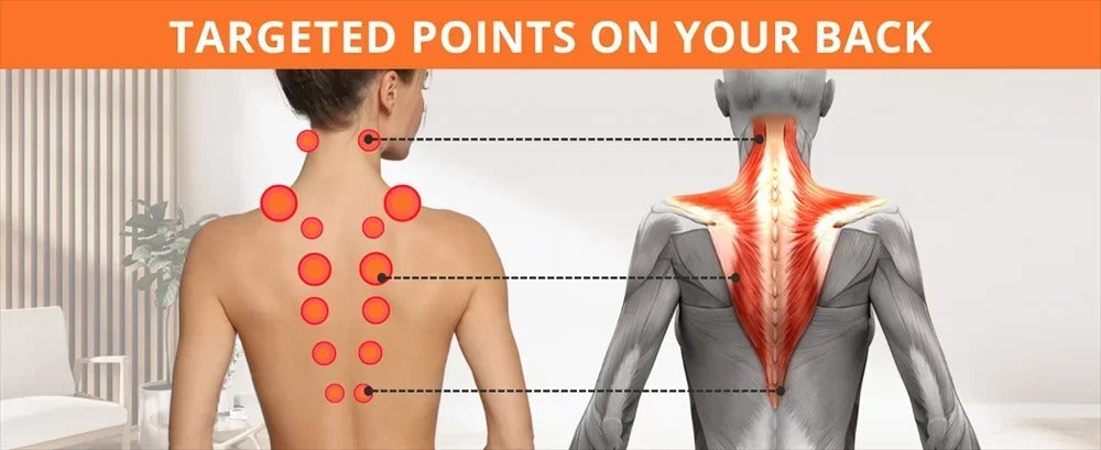 Fitlybuy neck stretcher diagram showing red targeted pressure points on the back and corresponding muscle anatomy.