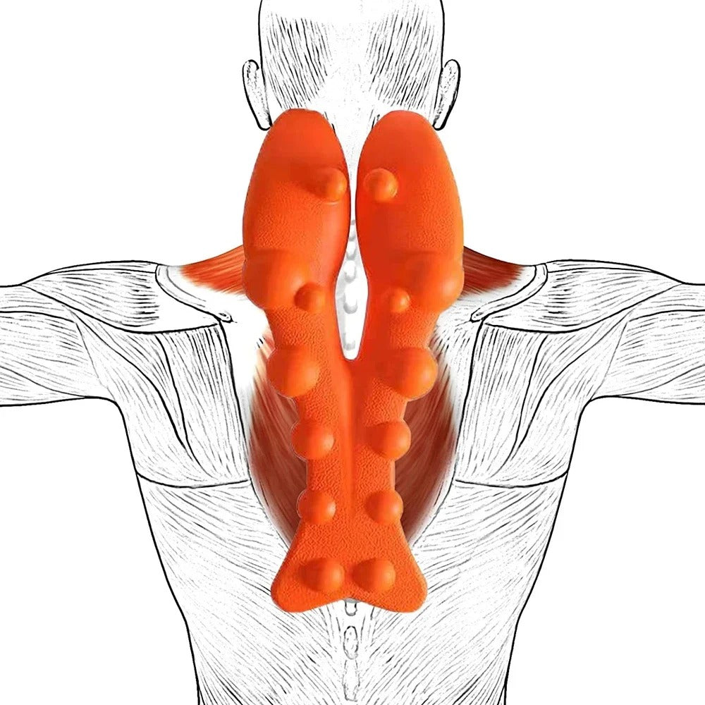 Orange Fitlybuy cervical neck stretcher with raised massage nodes placed on an anatomical illustration of back muscles.