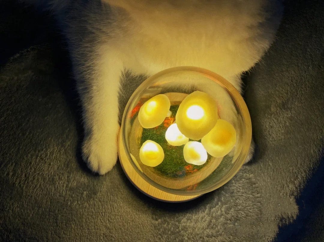 Fitlybuy Enchanted Mushroom DIY glass lamp kit with glowing LED mushrooms on a wooden base, next to a white cat.