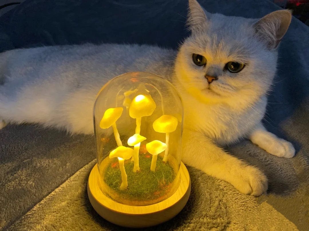 Fitlybuy enchanted mushroom glass lamp with glowing yellow lights, displayed on a wooden base next to a white cat.