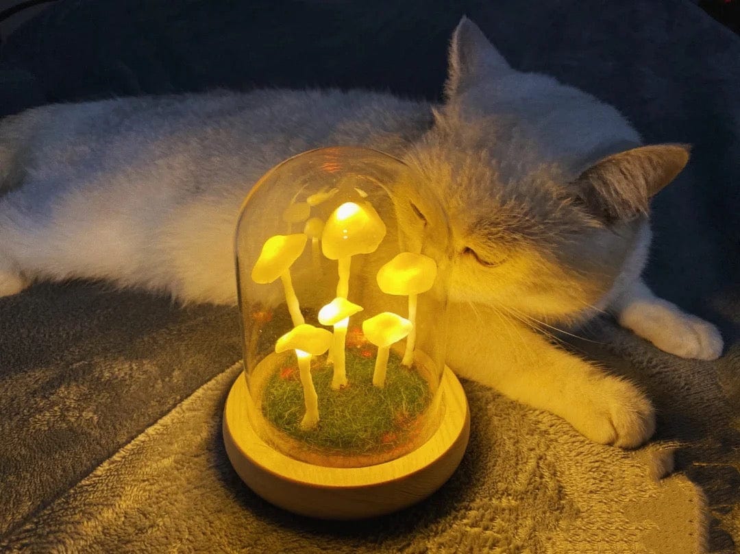 Fitlybuy glowing mushroom lamp in glass dome on a wooden base, illuminated with warm light, resting next to a cat.