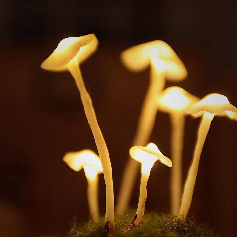 Fitlybuy Enchanted Mushroom DIY lamp kit, featuring several glowing yellow, ethereal mushroom lights in dark greenery.