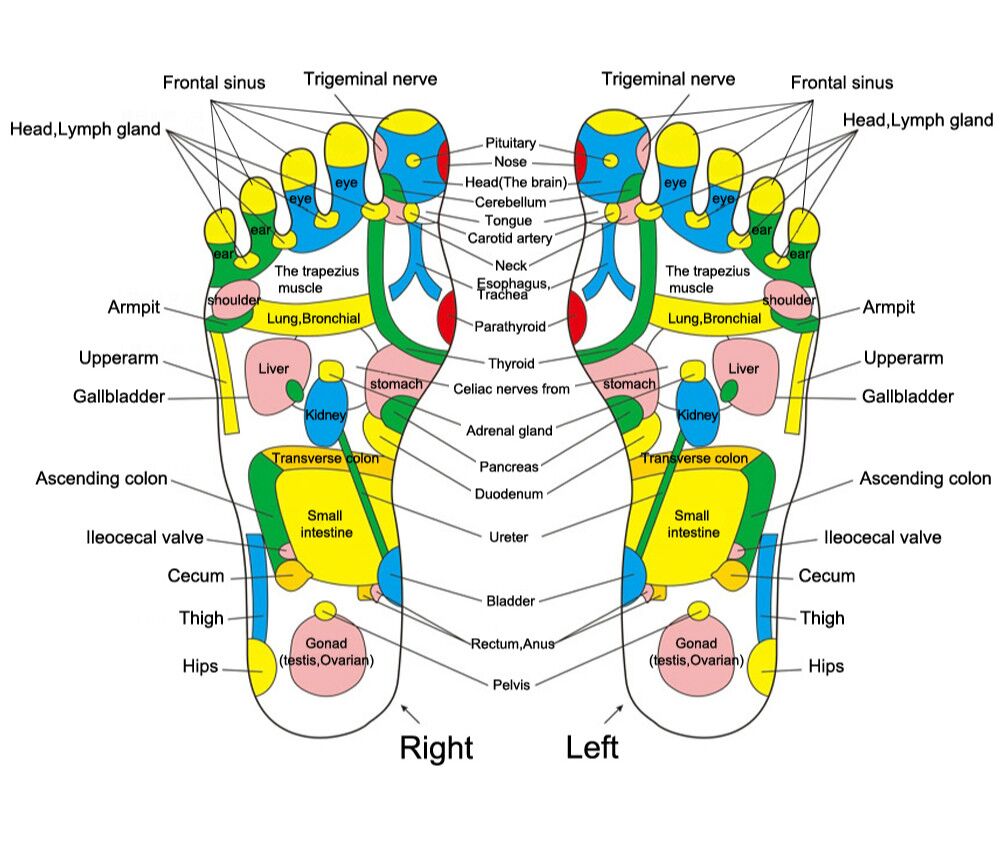 Reflexology foot chart showing pressure points for organs, labeled with Fitlybuy mat therapeutic zones.
