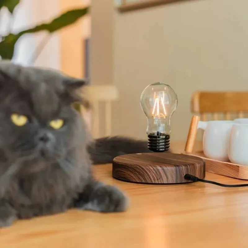 Fitlybuy Levion levitating magnetic LED bulb with wood-grain base, glowing on a table next to a fluffy grey cat.