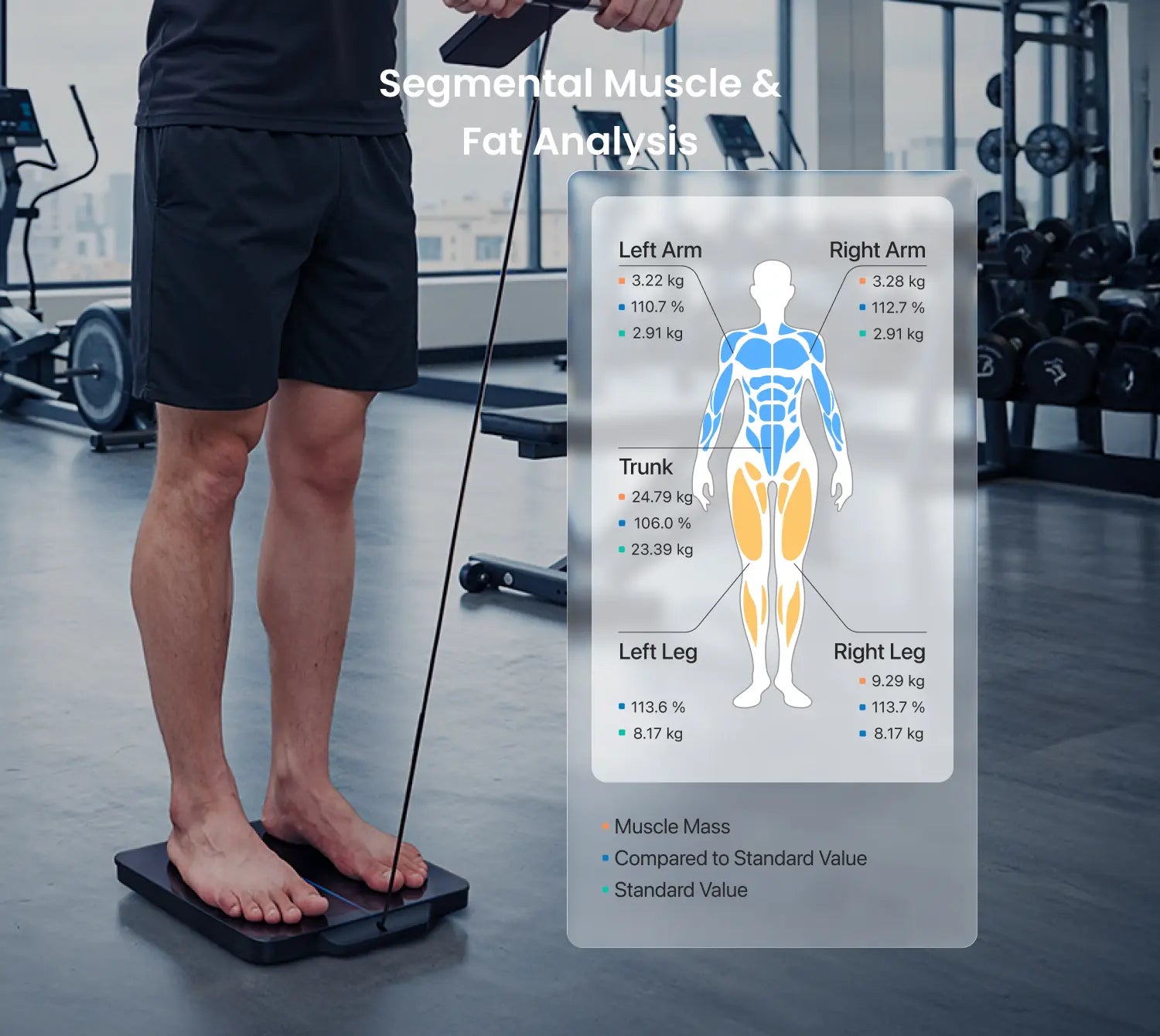 Person on Fitlybuy MorphoScan Nova scale showing digital overlay of segmental muscle and fat analysis in a gym setting.