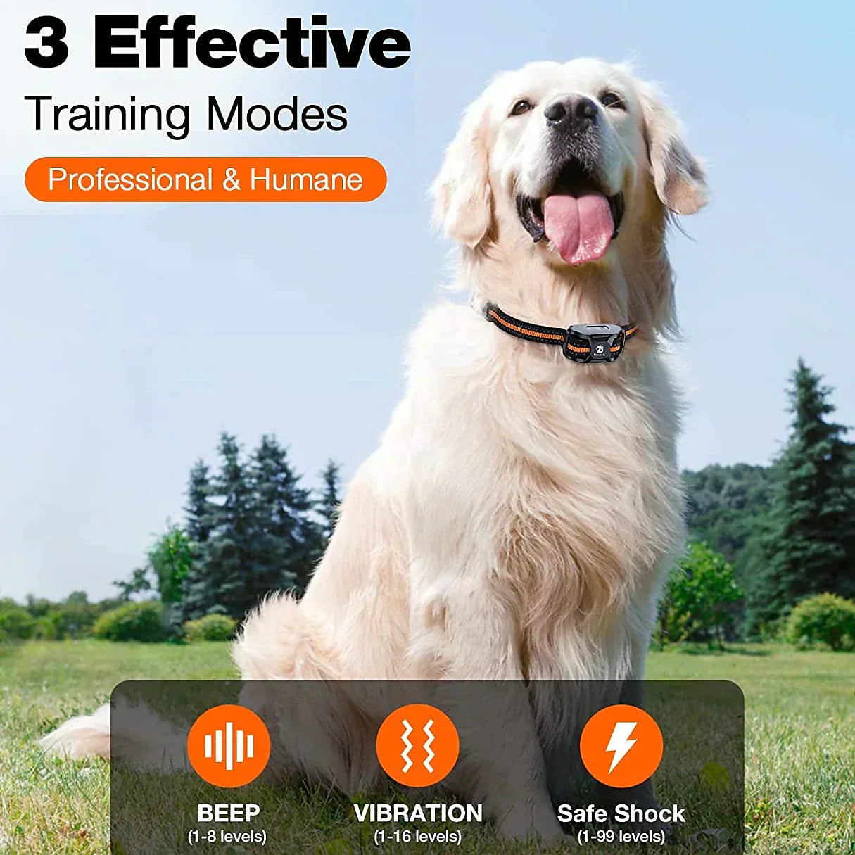 Golden retriever wearing a black and orange Fitlybuy dog training collar in a park with text about 3 training modes.