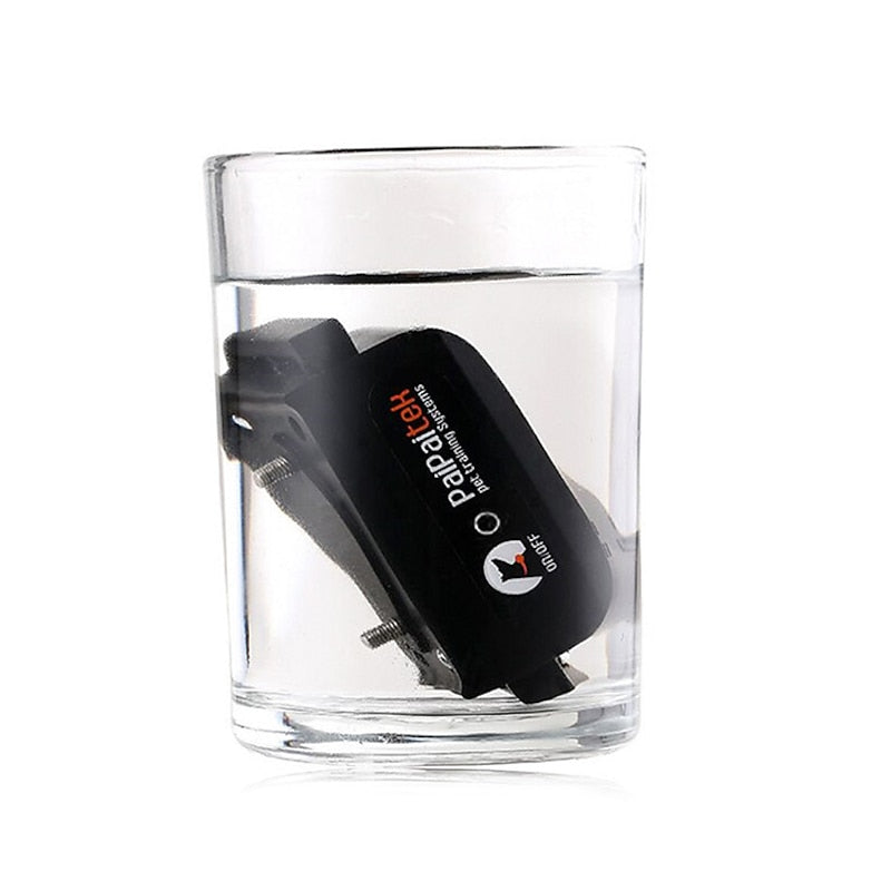 Black waterproof Fitlybuy dog training collar submerged in a glass of water to demonstrate water resistance.