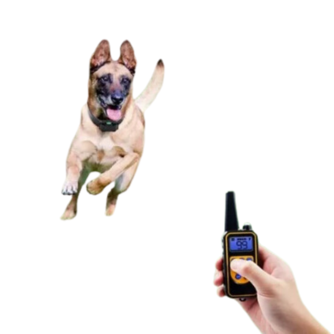 Fitlybuy dog training collar on a running dog with a handheld remote control featuring a digital screen.