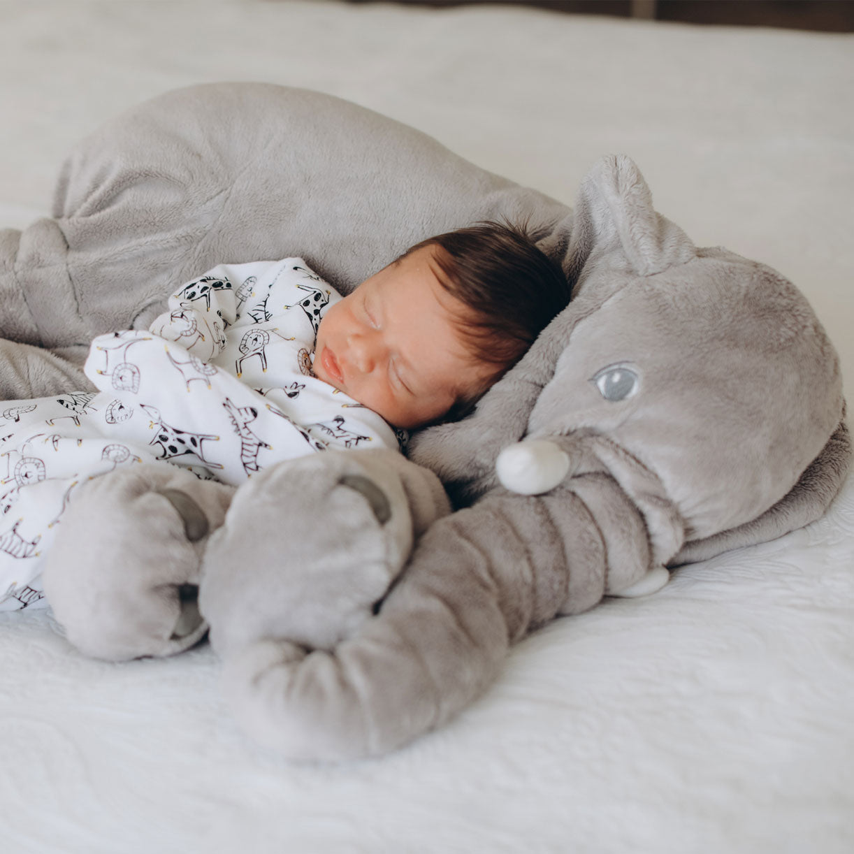 Newborn baby sleeping soundly on a soft, grey Fitlybuy plush elephant pillow on a white surface.