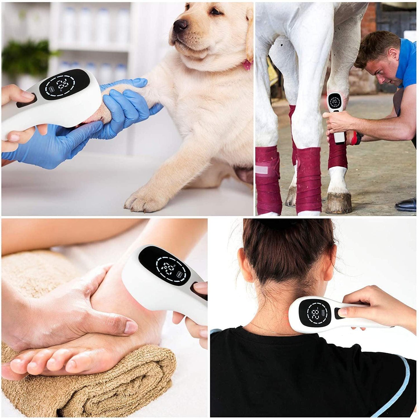 White Fitlybuy handheld cold laser therapy device used on a puppy, horse, ankle, and neck for pain relief.