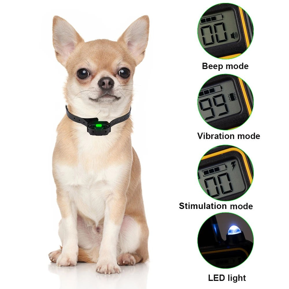 Small dog wearing a black Fitlybuy waterproof training collar with remote modes for beep, vibration, and stimulation.