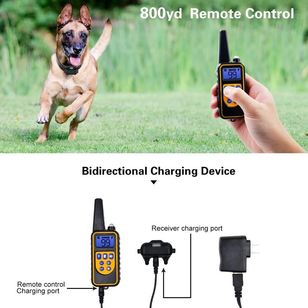 Fitlybuy waterproof dog collar with remote, showing a dog running and the bidirectional charging components.