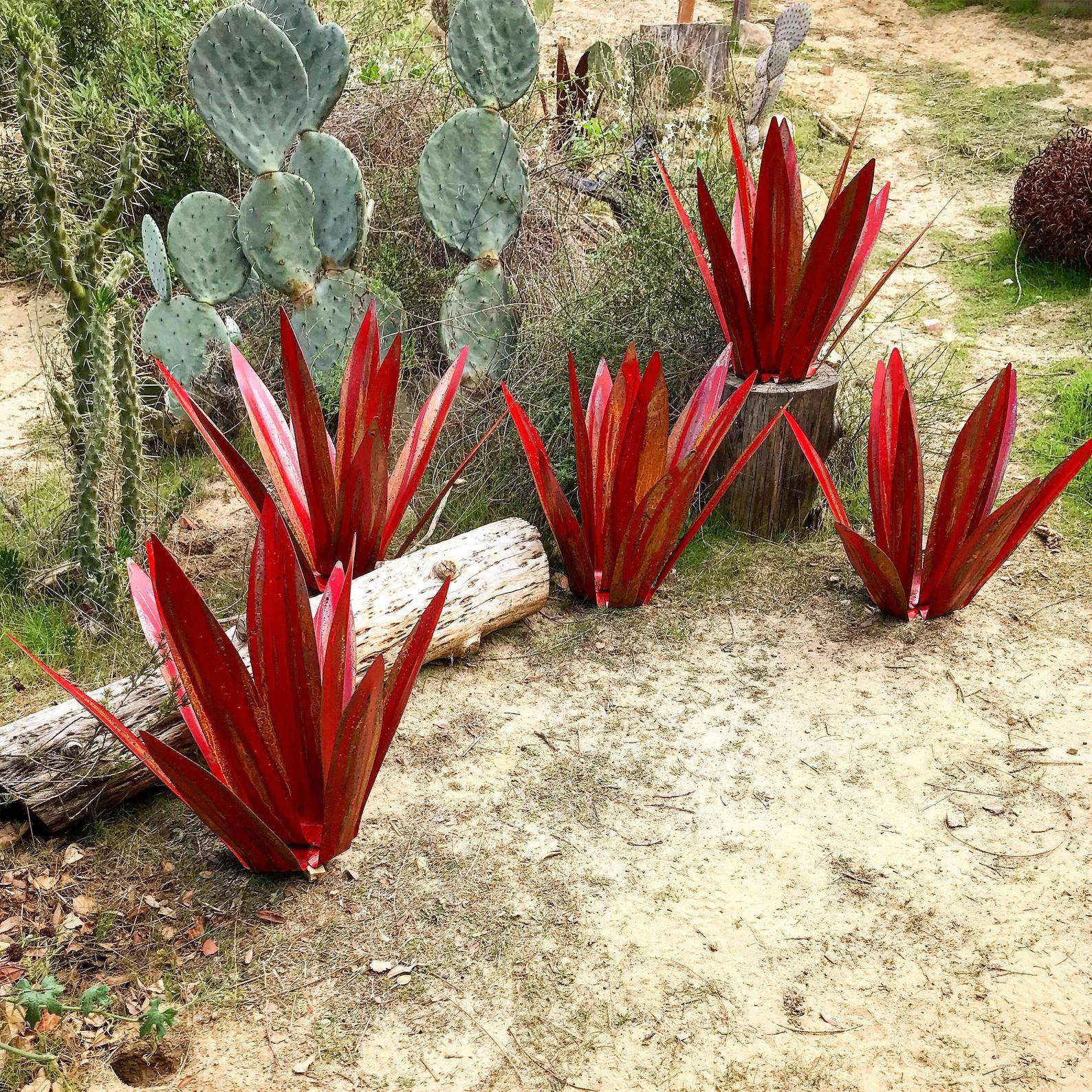 Four vibrant red, handcrafted metal agave sculptures placed in a sandy desert garden setting with natural cacti.